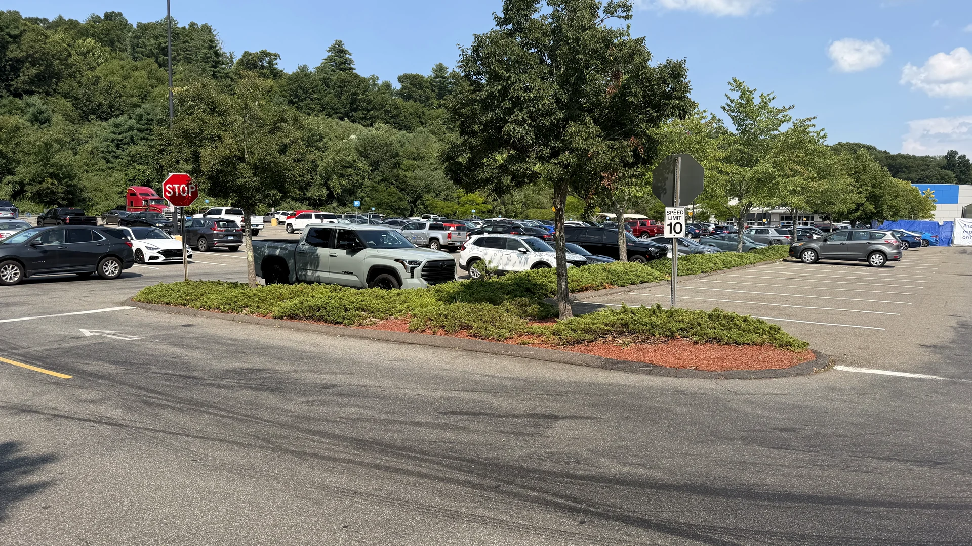 Representative view of maintained landscaping and parking areas at a commercial property in Connecticut