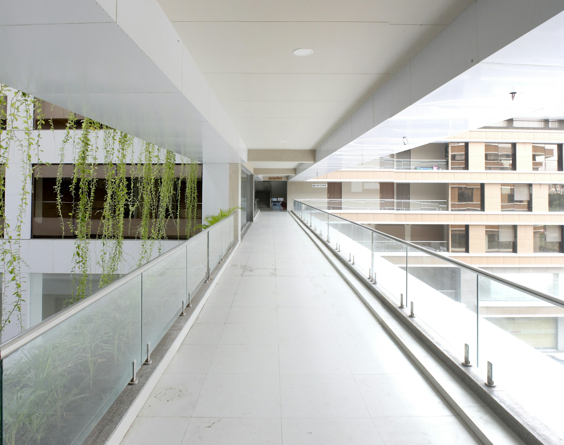 Commercial circulation space with a planted wall and architectural finishes